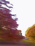 moving image