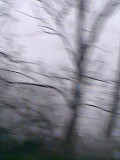 moving image