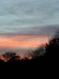 Norfolk
