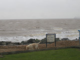 march in felixstowe