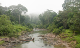 View from the Bridge