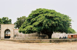 in background: Fortaleza de la Polvora