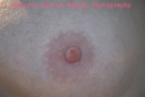 Breast D063.jpg