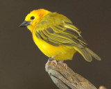 IMG_6142.jpg