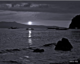 Moonrise LookIMG_3760.jpg