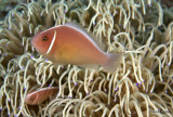 IMG_2740.jpg