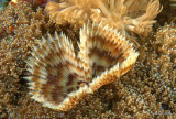 IMG_2791.jpg