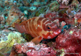100424_9576.jpg
