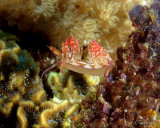 100427_1026.jpg
