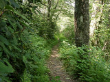 AT in Nant Frst 0207020033.JPG