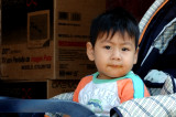 Stroller Boy