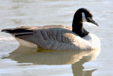 IMG_0022-Edit.jpg