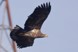 IMG_0256-Edit.jpg