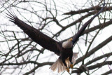 IMG_0301-Edit.jpg