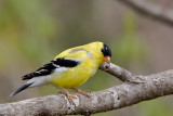 7B7D2310.jpg