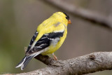 7B7D2317.jpg