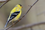 7B7D2738.jpg