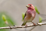 7B7D2775.jpg