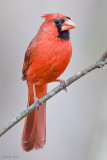 7B7D2837.jpg