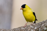 7B7D3027.jpg