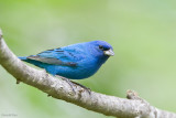 7B7D3353.jpg