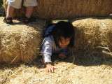 IMG_1520.JPG