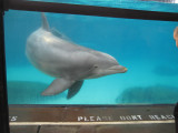 IMG_6061.JPG