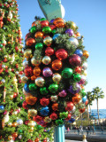 IMG_6103.JPG