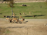 IMG_6157.JPG