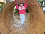 IMG_6175.JPG