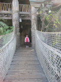 IMG_6222.JPG