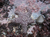 IMG_6451.JPG
