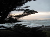 IMG_6476.JPG