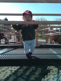 IMG00043-20100215-1118.jpg