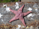 IMG_7199.JPG
