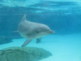 IMG_0127.JPG