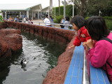 IMG_0140.JPG