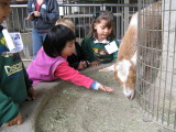 IMG_0192.JPG