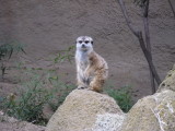 IMG_0227.JPG