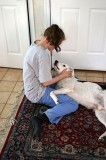 A girl and her pup.