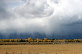 Grand Teton