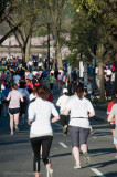 DS20090405_0358p.jpg