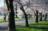 DS20090405_0393p.jpg