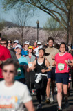 DS20090405_0725p.jpg