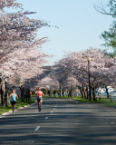 DS20090405_0430p.jpg