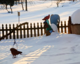 2/11/10 - Theres Snow on my Rooster<br><font size=3>ds20100211-0261w Snow Rooster.jpg</font>