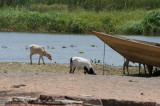 DS20080312_0444_NIKON_D300_w.jpg