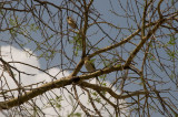 DS20080313_0129_NIKON_D300_w.jpg