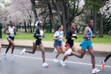 DS20080406_0145p.jpg