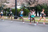 DS20080406_0166p.jpg